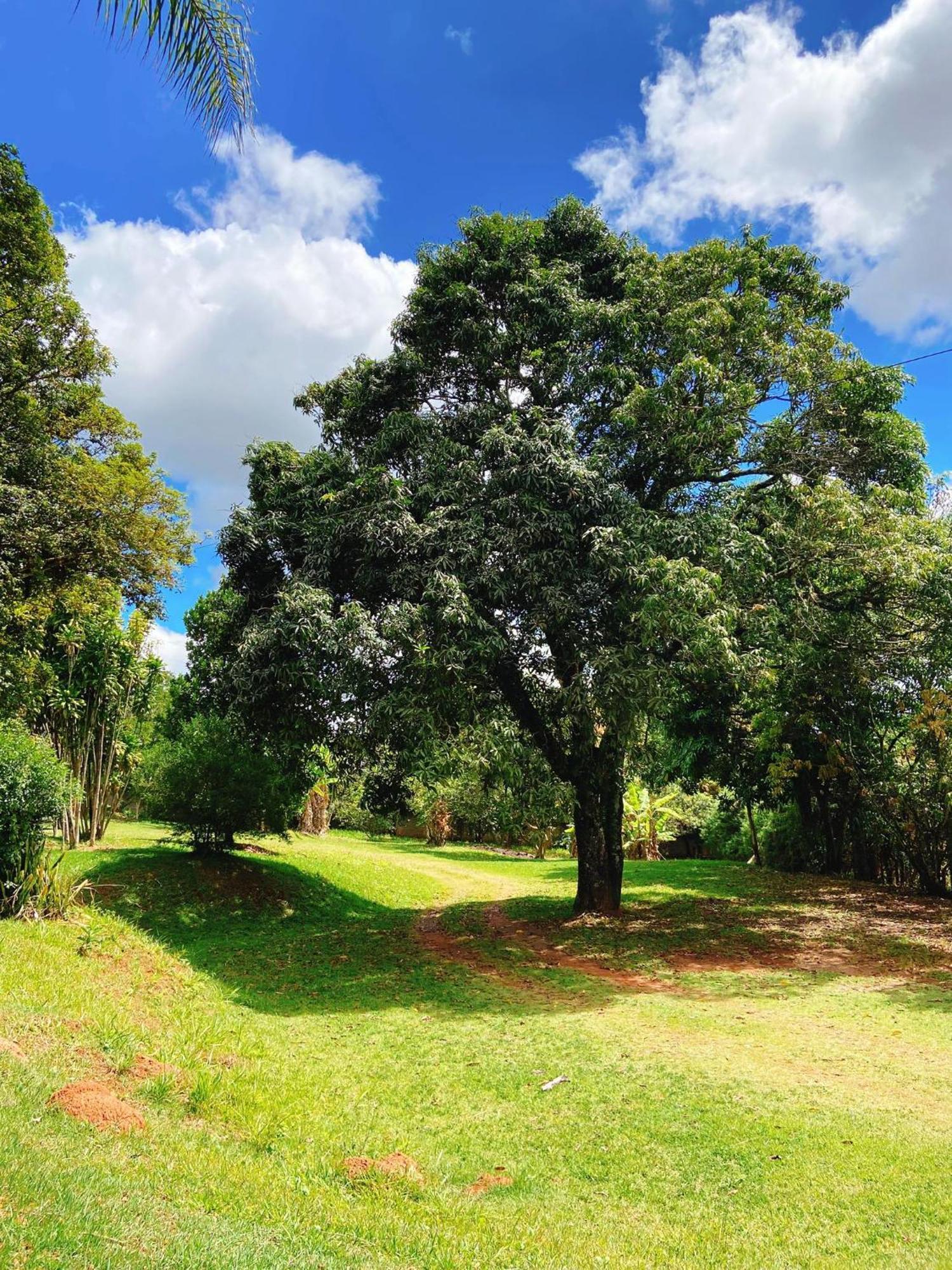 Sitio Pand'Oro Villa Atibaia Luaran gambar